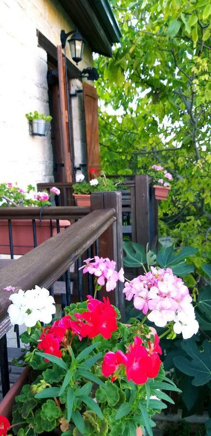 Magdalous House Guest House Arsos Bagian luar foto